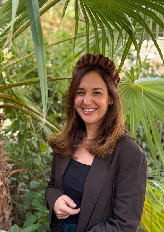 קשת בינונית נמסיס חומה