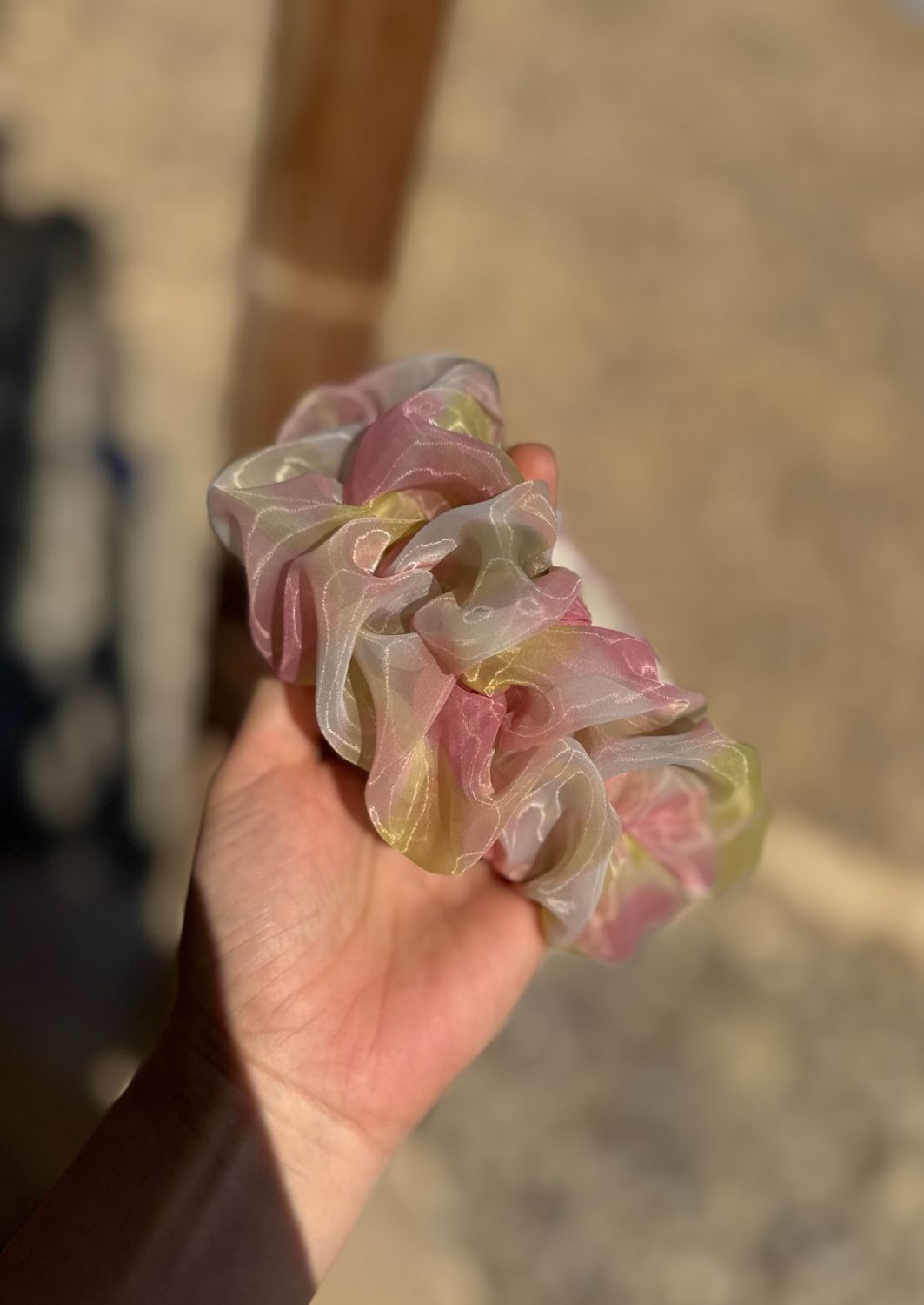 קשת צרה רנה קנדי