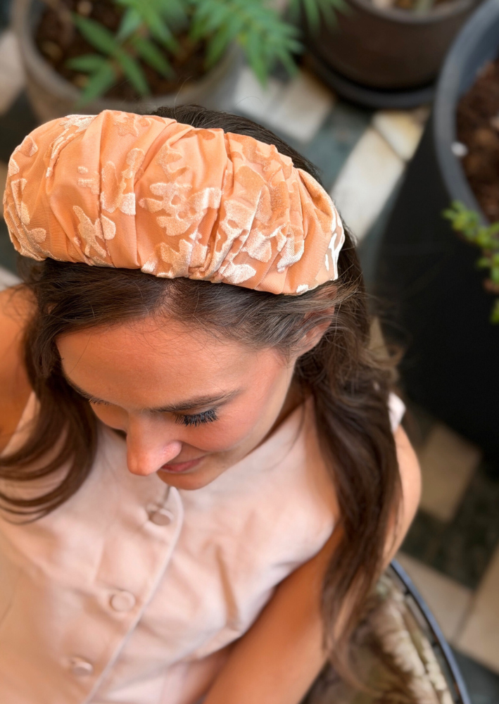 קשת רחבה ויולה קטיפה ניוד