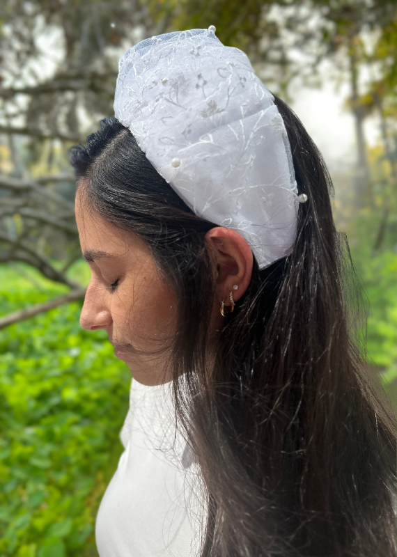 קשת רחבה ויולה בלאנש