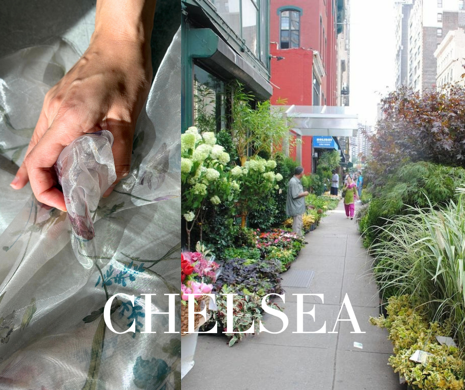 קשת פטיט רנה צ׳לסי