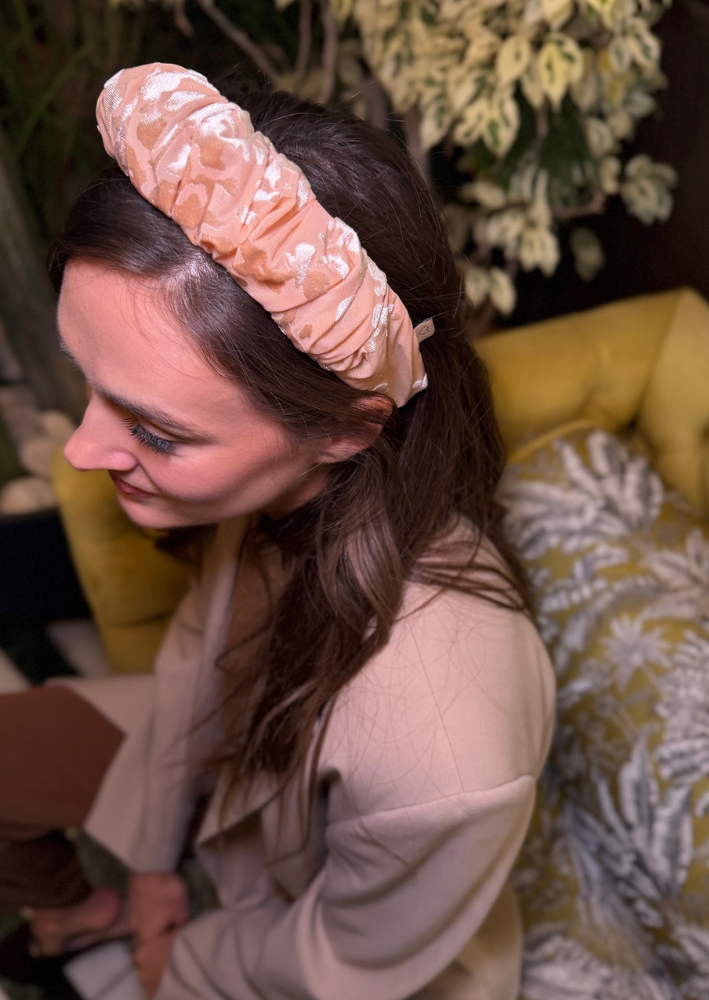 קשת צרה ויולה קטיפה ניוד