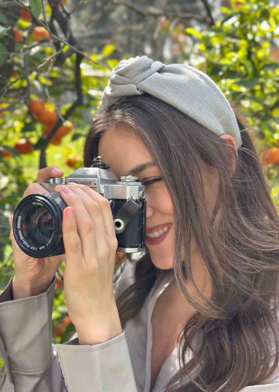 קשת בינונית סיירה אפור