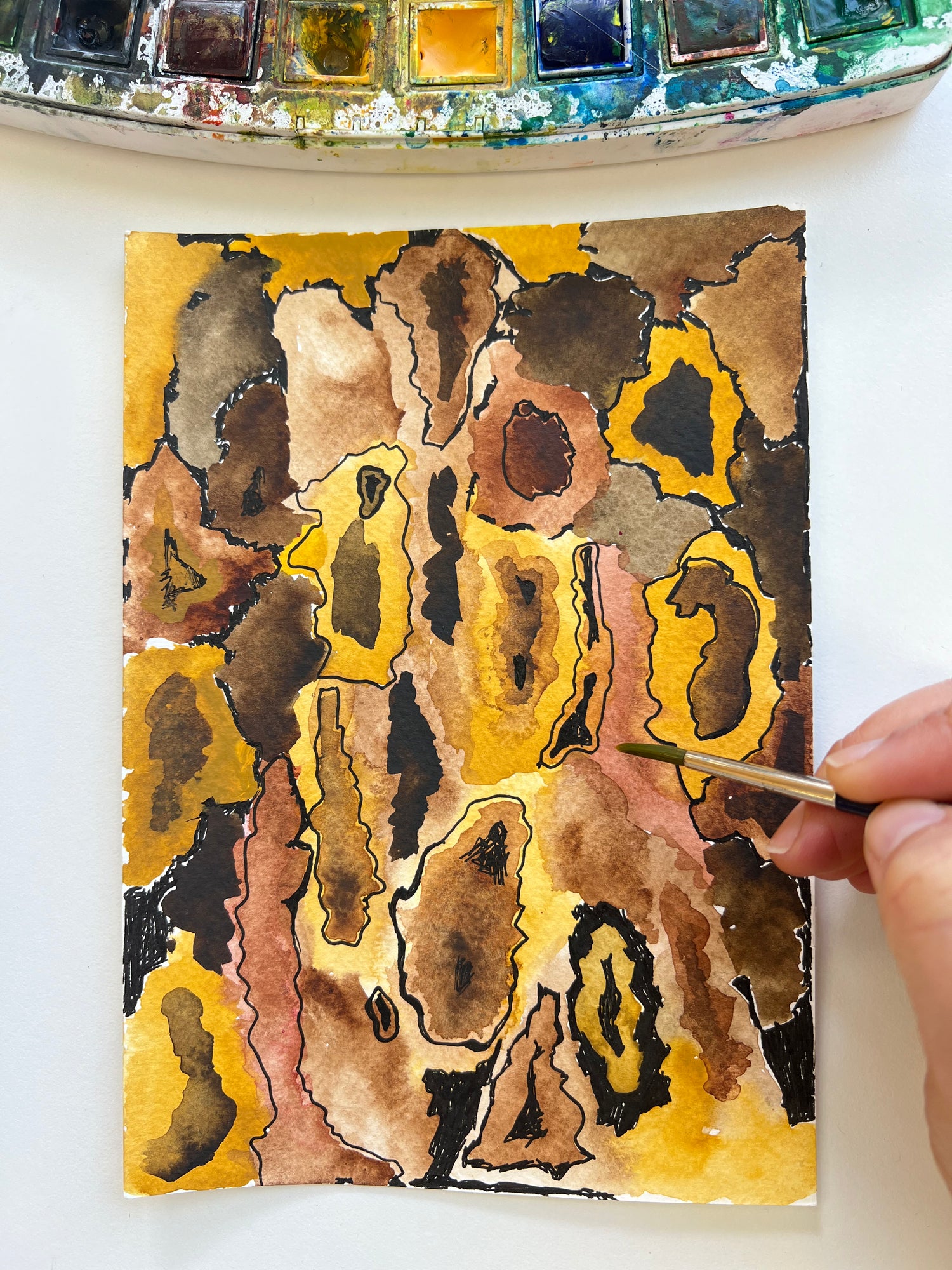 קשת ז׳אן מנומר של קראש